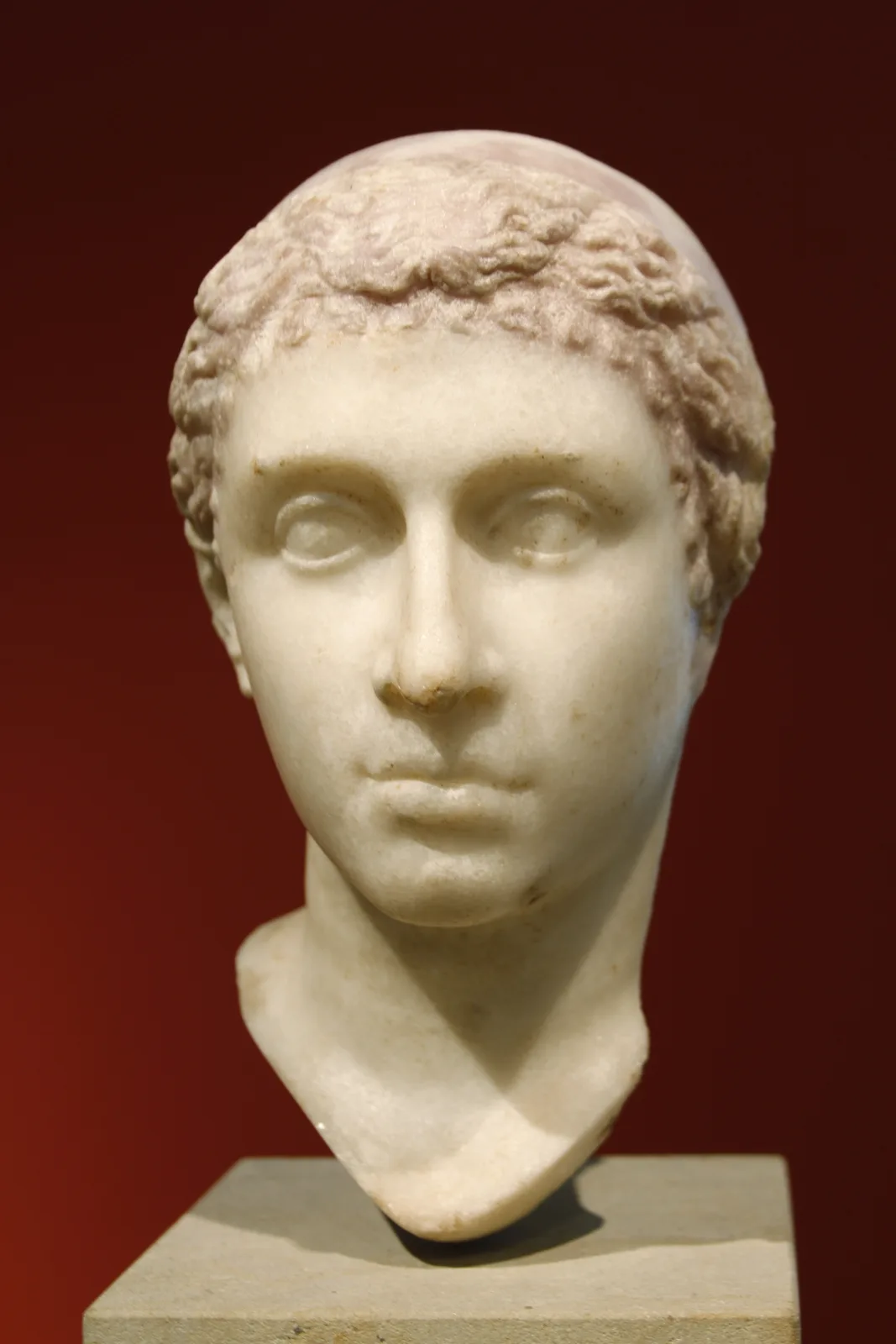 A white marble portrait head of Cleopatra VII in the Altes Museum, Berlin, lit against a deep red wall: melon-coiffed hair drawn back in waves under a plain diadem, a long straight nose, a small mouth and a broken column of neck on a stone plinth