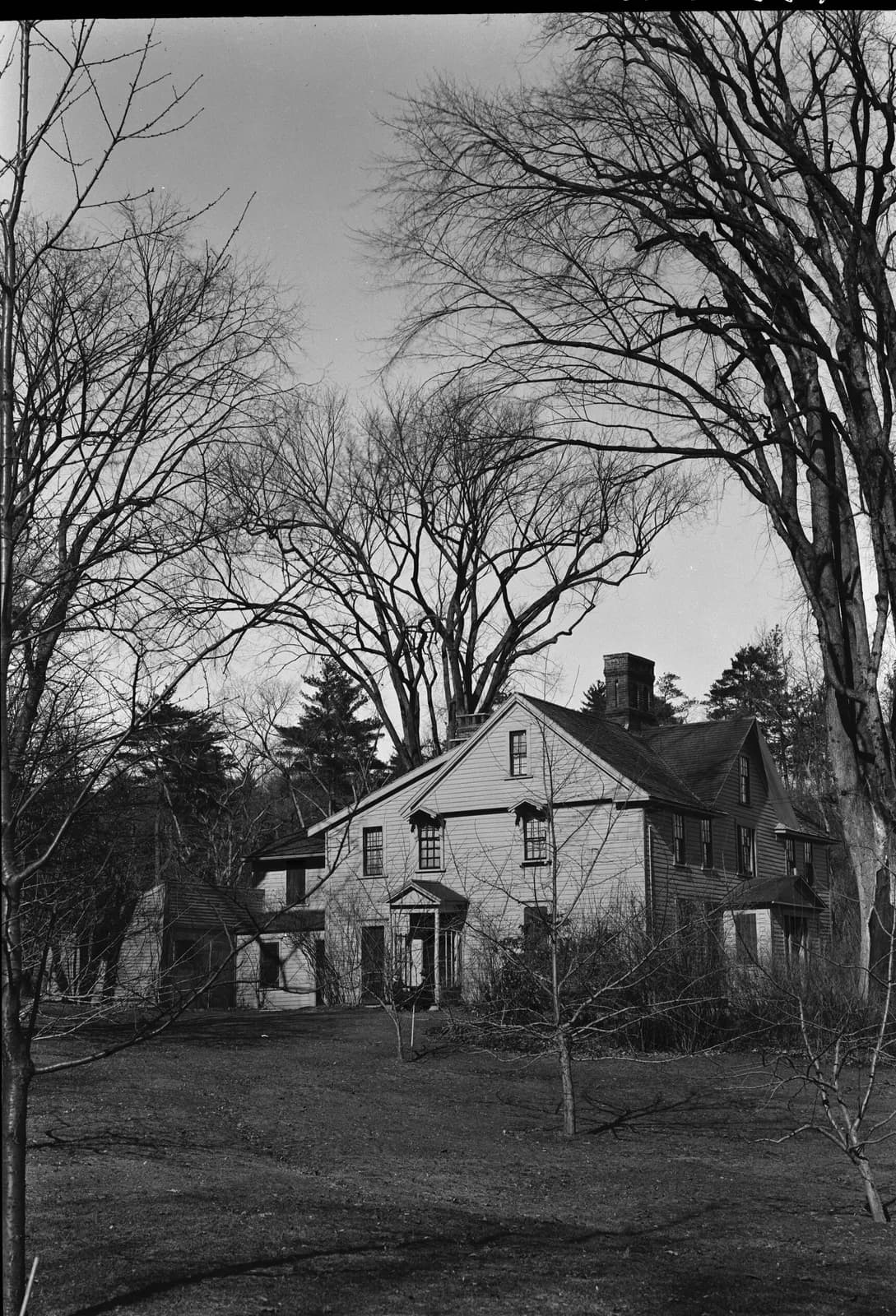 Orchard House in Concord, Massachusetts, photographed among bare trees for the Historic American Buildings Survey in 1941 — the clapboard house where Louisa May Alcott wrote Little Women and the model every screen version rebuilds